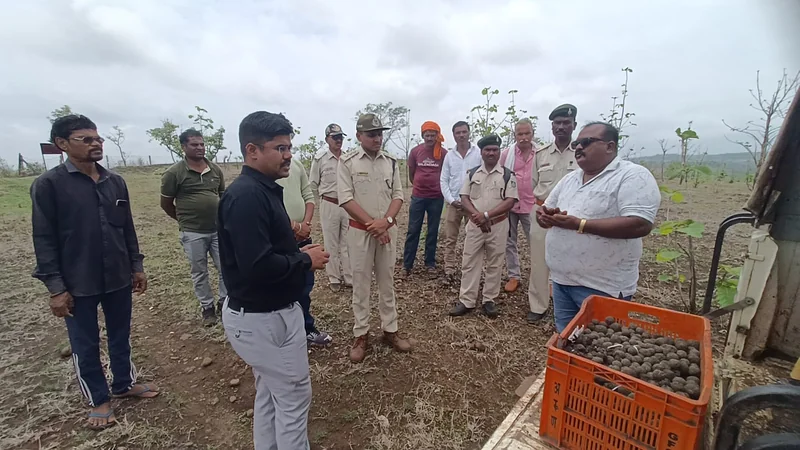 मोही-मांडवी के जंगलों में 20 हजार सीड्स बॉल का हुआ विसर्जन, जल प्रहरी नीरज वानखड़े की अनूठी पहल को वन विभाग…