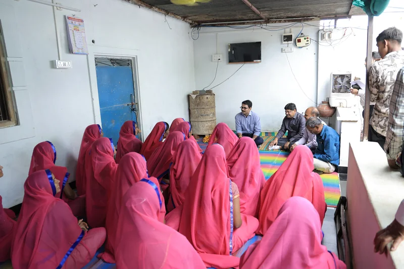 कलेक्टर ने आवर गांव में स्व-सहायता समूहों द्वारा निर्मित उत्पादों का किया अवलोकन